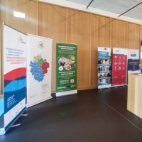 Bild Präsentation der beteiligten Akteure